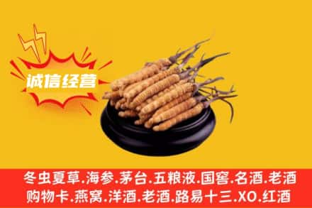 贵阳市观山湖回收冬虫夏草